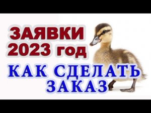 Мускусные утки,  руанские утки принимаю заявки на молодняк, яйцо и подрощенных на 2023г.