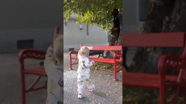 1 год и 5 месяцев. Муджа смотреть онлайн