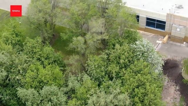 Уровень воды в Енисее поднялся еще на 20 сантиметров