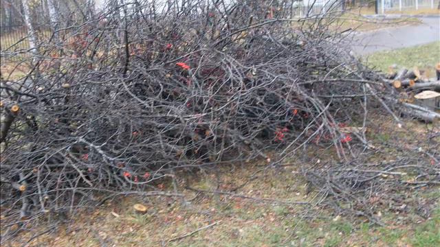 Рябины на Золотодолинской смотреть онлайн