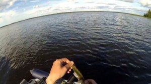 Рыбалка на Финском заливе | Выборгский залив | Троллинг