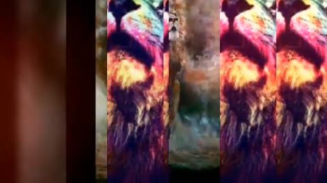 дикая львица ты моя царица смотреть онлайн