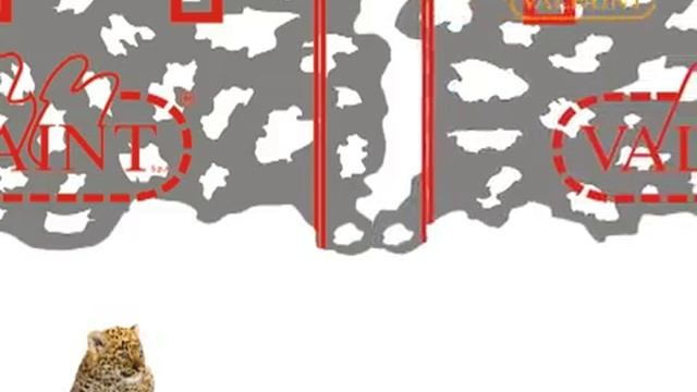 Нанесение фактурной штукатурки ДЖУНГЛИ (JUNGLE) - ЛЕОПАРД смотреть онлайн