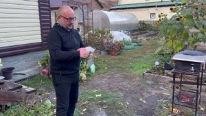 Оссобуко в казане