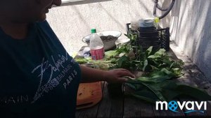 Лечу больные суставы окопником. Сделала настойку.