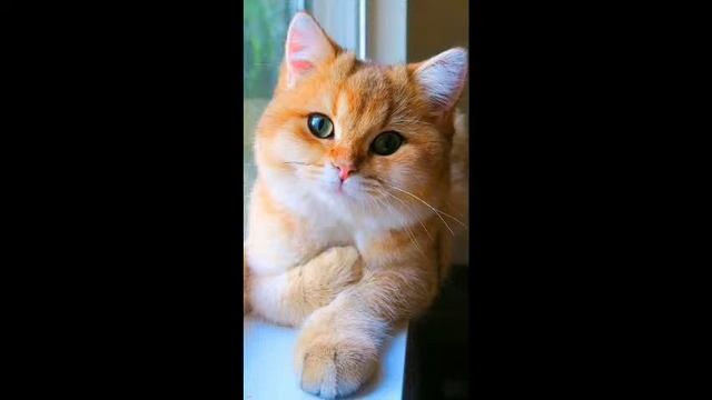 стрим играем с друзьями смотреть онлайн