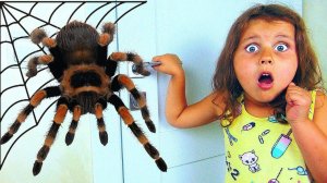 Милана и папа - история про скелета и паука