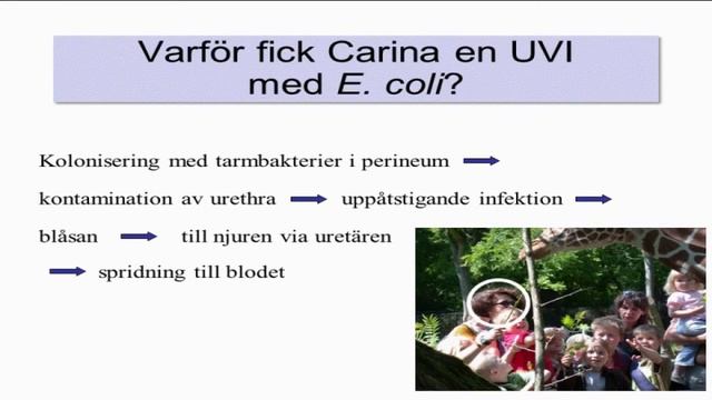 Möt Labmedicin Skåne - föredrag 8 Kristian Riesbeck смотреть онлайн