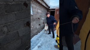 Будни Башкирской домохозяйки 😁