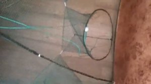 Рыболовная снасть раколовка (зонтик) распаковка и обзор