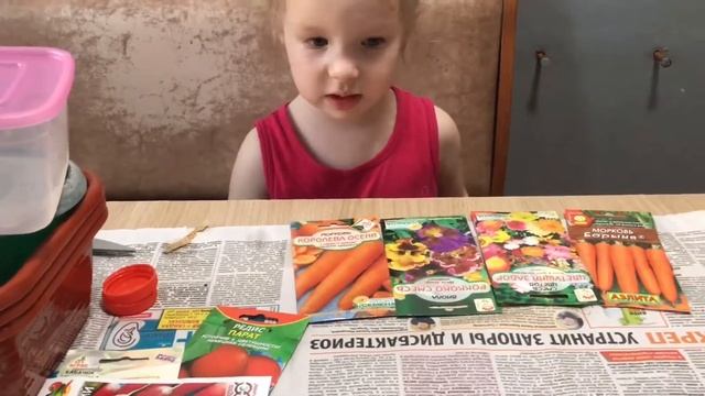 Какая выросла рассада / Сеем новые семена смотреть онлайн