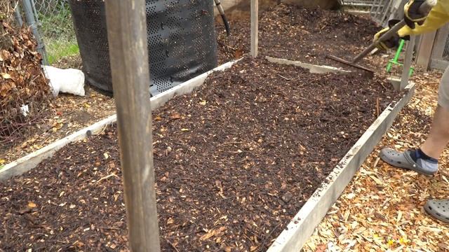 How to kill Root knot Nematodes no dig смотреть онлайн