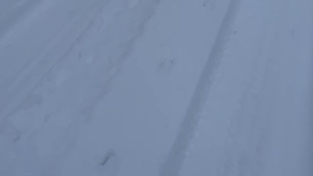 1007/ Муж кормит своим шедевром. Откуда они зимой?! смотреть онлайн