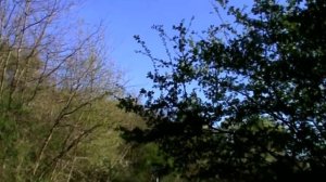 Русская душа Федора Воробьёва. Отчий дом