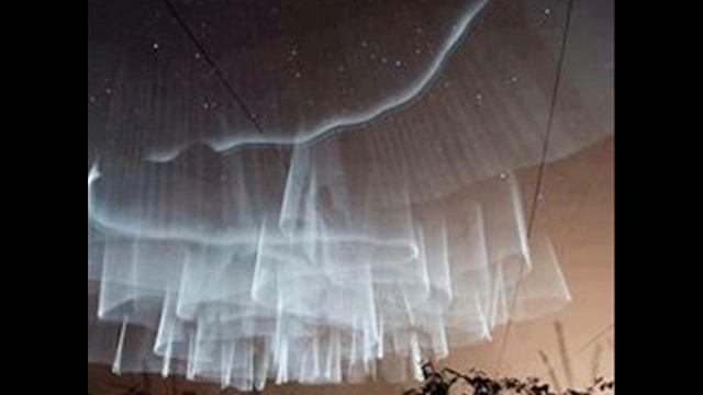 Золотое сечение - примеры в природе .