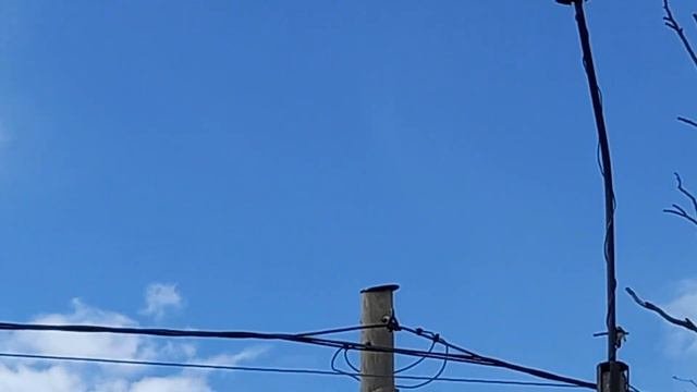 05.05.село Деревянное...