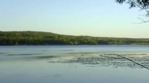 Рыбалка в Вадинском водохранилище.