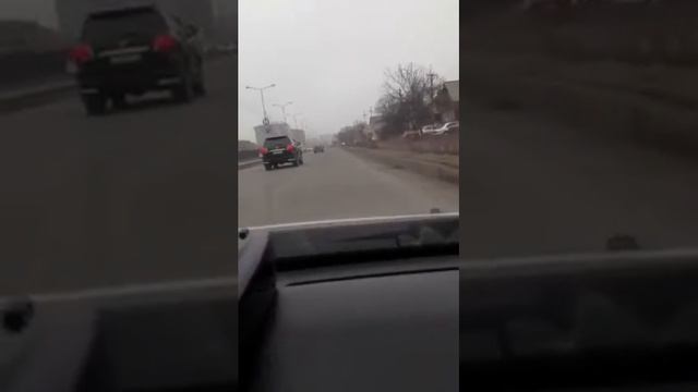 Камера в кустах смотреть онлайн