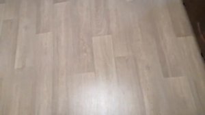 Мотивация в дрессировке собак. Пример. Той-пудель Маруся.