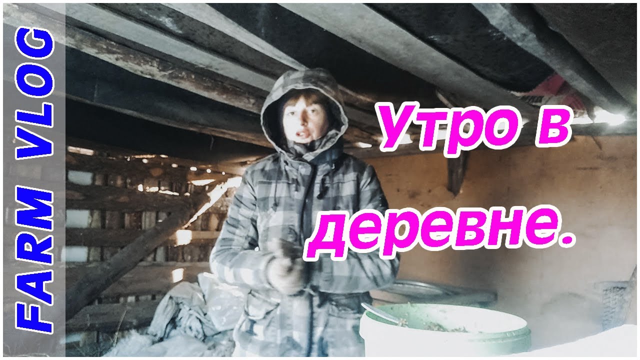 Farm Vlog_ Моё утро в деревне _ Посылка _ Farm life.