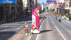 ТОКИЙСКИЙ МАРАФОН 2024 на 42 КМ. Элиуд Кипчоге, Сифан Хасан. Трансляция из Японии 03.03.2024
