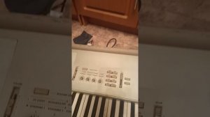 кадышева течет ручей
