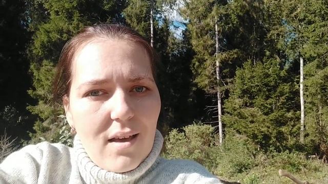 ПОМИДОРЫ И ОГУРЦЫ В СЕНТЯБРЕ В ЛЕНИНГРАДСКОЙ ОБЛАСТИ | ЧТО РАСТЕТ В НАШЕЙ ТЕПЛИЦЕ К КОНЦУ СЕНТЯБРЯ