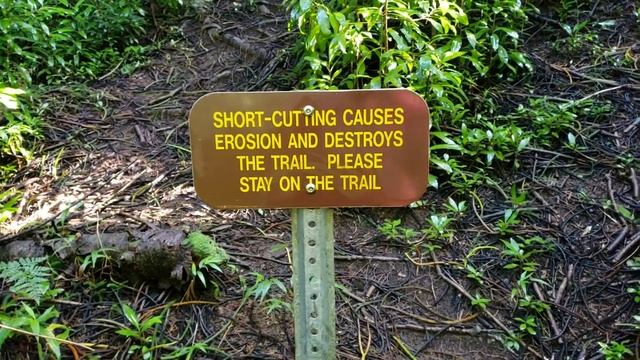 Хайк по местам съемки сериала "Остаться в живых" смотреть онлайн