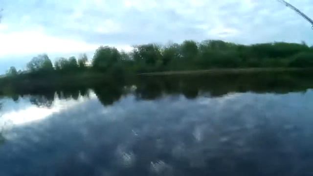 Рыбалка на крупного карася который рвёт леску смотреть онлайн