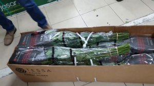 Распаковка розы из эквадора