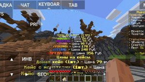 Топ Анархия Сервер С бесплатным Донатом 1.16.5
