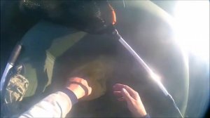 Ленинградская обл.рыбалка,  река Свирь 20 06 17,хороший ЛЕЩ. И СЬЕМКА ПОД ВОДОЙ ПОДЛЕЩИКА.