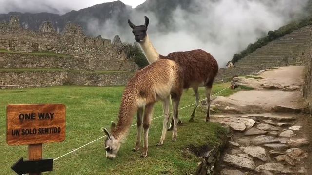 Перу. Мачу Пикчу смотреть онлайн