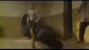 Нарезка из сериала "Боец"