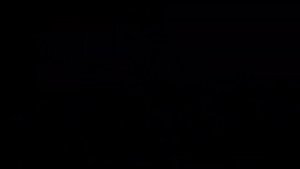 ОНИ ПОБИЛИ МИРОВОЙ РЕКОРД! САМАЯ ДЛИННАЯ ЦЕПНАЯ РЕАКЦИЯ ИЗ ДОМИНО.