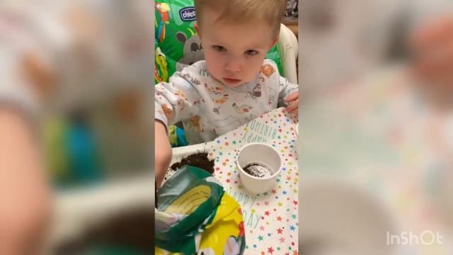 Садим каштан| Познаем мир вокруг нас| РАЗВИВАЮЩИЕ ЗАНЯТИЯ С РЕБЕНКОМ ОТ 1 ГОДА| the world around us смотреть онлайн