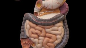 Программа самоактивации Кайя Кальпа.