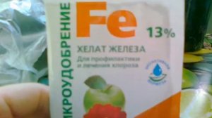 Хелат железа - лекарство от хлороза