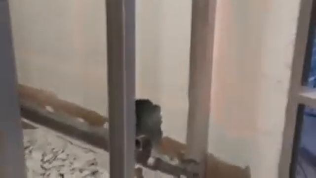 Ремонт квартира Екатеринбург