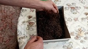 Изменения вкуса табака в процессе постоянного увлажнения.