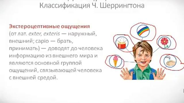 Психология урок 17 Виды ощущений