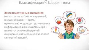 Психология урок 17 Виды ощущений