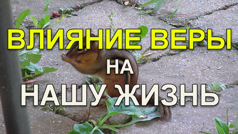 В нашей жизни происходит только то, во что мы верим;  в соответствии с тем, как мы себя ощущаем.