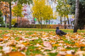 С Добрым Утром и Хорошим Днем! Отличного Настроения Весь День!