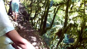 ЭКСКУРСИЯ  В КОДОРСКОЕ УЩЕЛЬЕ - ТАКОГО МЫ НЕ ОЖИДАЛИ