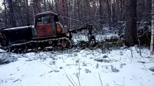 Броневичок Дт-75 с гидро-захватом в выборочной деляне 30-50 кубов вдвоём в смену