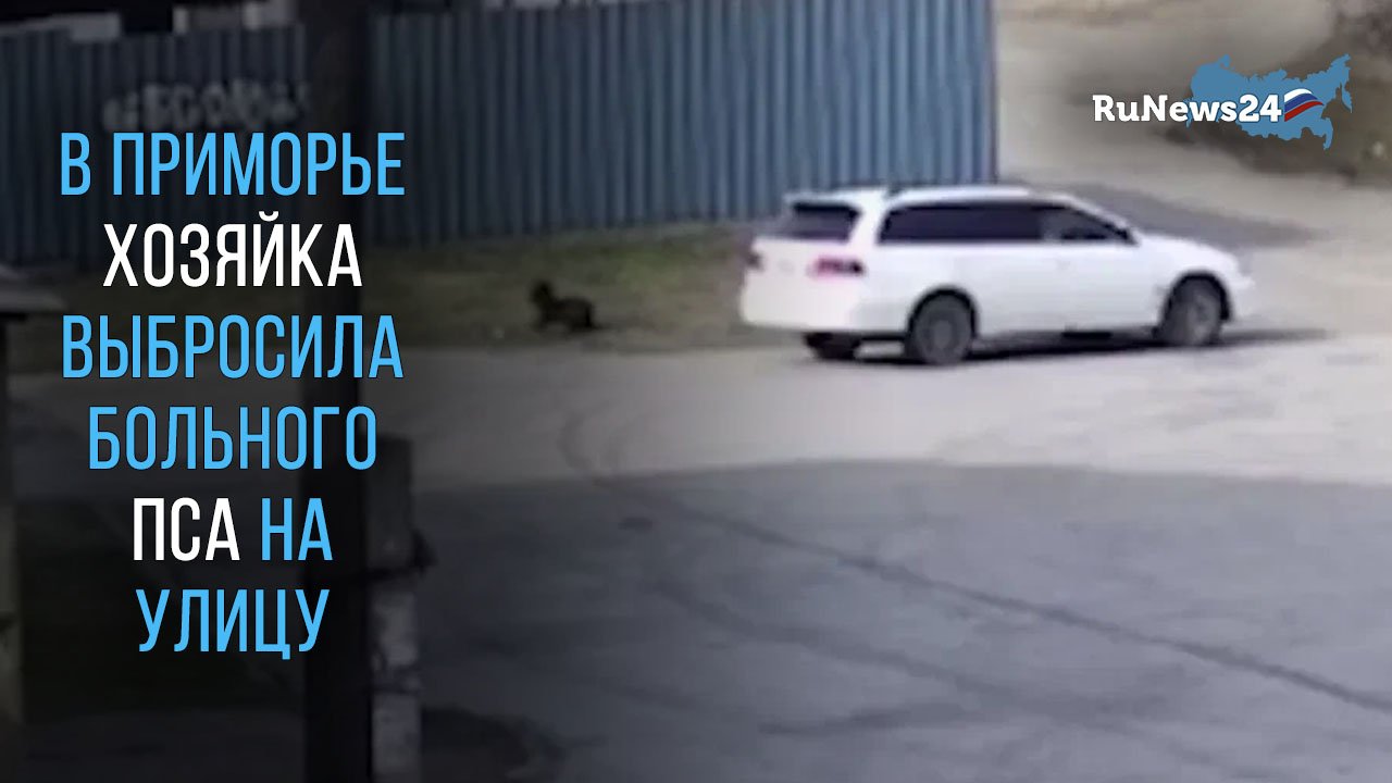 В Приморье хозяйка выбросила больного пса на улицу