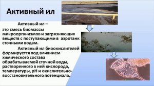 Сапарбекова А А    Процесс биологической обработки  Активный ил в очистке сточных вод