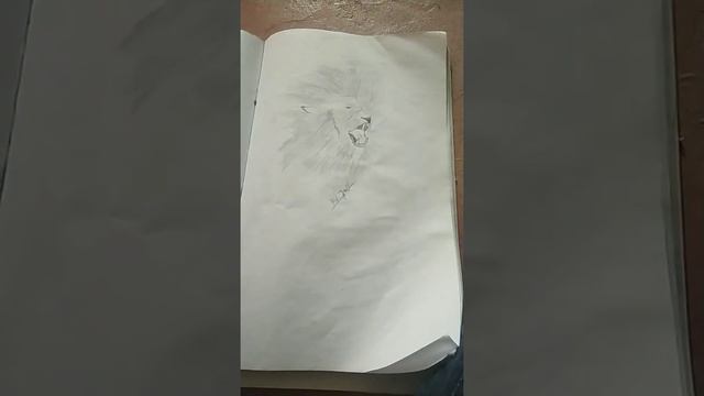 magic sketch of lion смотреть онлайн