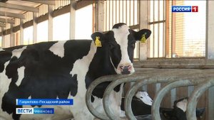 После ремонта трассы Гаврилов Посад - Непотягово жители села могут быстро доехать до райцентра